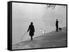 Hyde Park in Winter-Cornell Capa-Framed Stretched Canvas