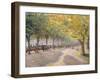 Hyde Park, London, 1890 (Distemper on Paper Laid down on Canvas)-Camille Pissarro-Framed Giclee Print