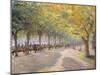 Hyde Park, London, 1890 (Distemper on Paper Laid down on Canvas)-Camille Pissarro-Mounted Giclee Print