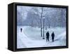 Hyde Park, London, England-Alan Copson-Framed Stretched Canvas