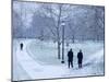 Hyde Park, London, England-Alan Copson-Mounted Photographic Print