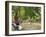 Hyde Park, London-Count Girolamo Pieri Nerli-Framed Giclee Print