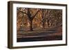 Hyde Park Morning-FS Studio-Framed Giclee Print