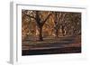 Hyde Park Morning-FS Studio-Framed Giclee Print