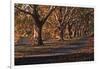 Hyde Park Morning-FS Studio-Framed Giclee Print