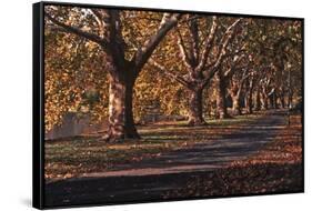 Hyde Park Morning-FS Studio-Framed Stretched Canvas