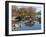 Hyde Park Neighborhood, Osaka Japanese Garden in Jackson Park, Chicago, Illinois, Usa-Alan Klehr-Framed Photographic Print