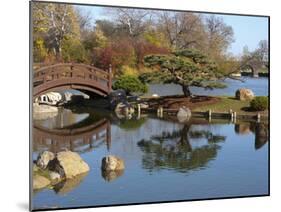 Hyde Park Neighborhood, Osaka Japanese Garden in Jackson Park, Chicago, Illinois, Usa-Alan Klehr-Mounted Photographic Print