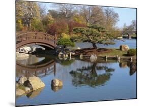 Hyde Park Neighborhood, Osaka Japanese Garden in Jackson Park, Chicago, Illinois, Usa-Alan Klehr-Mounted Photographic Print