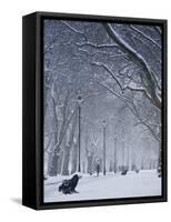 Hyde Park Snow Scene, London, England, UK-Neil Farrin-Framed Stretched Canvas