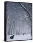 Hyde Park Snow Scene, London, England, UK-Neil Farrin-Framed Stretched Canvas