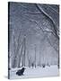 Hyde Park Snow Scene, London, England, UK-Neil Farrin-Stretched Canvas