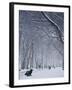 Hyde Park Snow Scene, London, England, UK-Neil Farrin-Framed Photographic Print