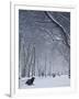 Hyde Park Snow Scene, London, England, UK-Neil Farrin-Framed Photographic Print
