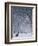 Hyde Park Snow Scene, London, England, UK-Neil Farrin-Framed Photographic Print