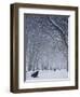 Hyde Park Snow Scene, London, England, UK-Neil Farrin-Framed Photographic Print