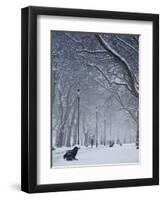 Hyde Park Snow Scene, London, England, UK-Neil Farrin-Framed Photographic Print