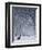 Hyde Park Snow Scene, London, England, UK-Neil Farrin-Framed Photographic Print