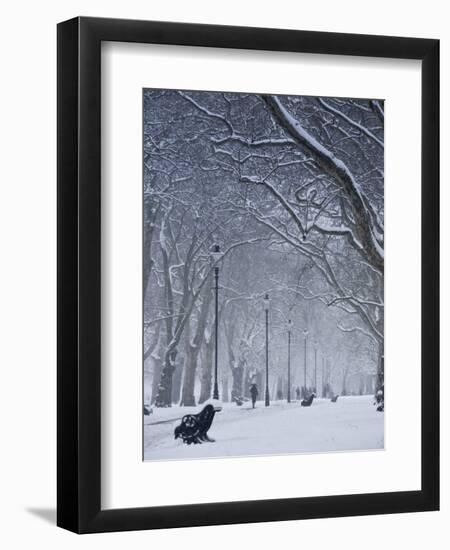 Hyde Park Snow Scene, London, England, UK-Neil Farrin-Framed Photographic Print