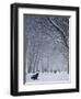 Hyde Park Snow Scene, London, England, UK-Neil Farrin-Framed Photographic Print