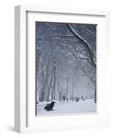 Hyde Park Snow Scene, London, England, UK-Neil Farrin-Framed Photographic Print