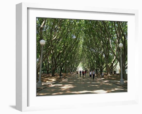 Hyde Park, Sydney, New South Wales, Australia, Pacific-Neale Clarke-Framed Photographic Print