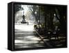 Hyde Park, Sydney, New South Wales, Australia, Pacific-Mark Mawson-Framed Stretched Canvas