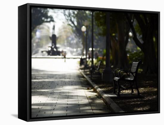 Hyde Park, Sydney, New South Wales, Australia, Pacific-Mark Mawson-Framed Stretched Canvas