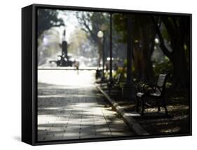 Hyde Park, Sydney, New South Wales, Australia, Pacific-Mark Mawson-Framed Stretched Canvas