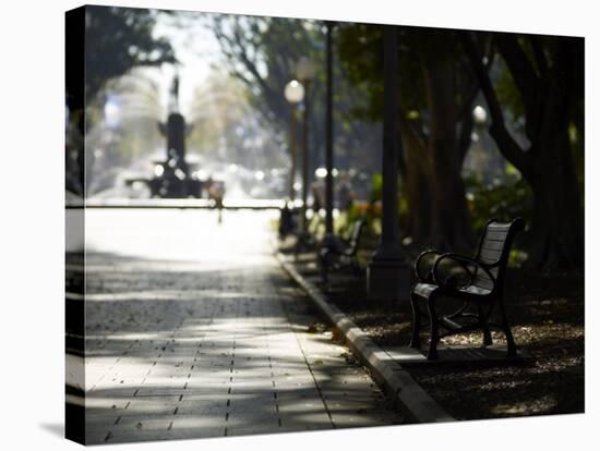 Hyde Park, Sydney, New South Wales, Australia, Pacific-Mark Mawson-Stretched Canvas