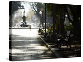 Hyde Park, Sydney, New South Wales, Australia, Pacific-Mark Mawson-Stretched Canvas