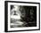 Hyde Park, Sydney, New South Wales, Australia, Pacific-Mark Mawson-Framed Photographic Print