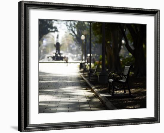 Hyde Park, Sydney, New South Wales, Australia, Pacific-Mark Mawson-Framed Photographic Print