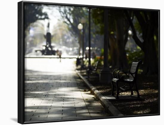 Hyde Park, Sydney, New South Wales, Australia, Pacific-Mark Mawson-Framed Photographic Print