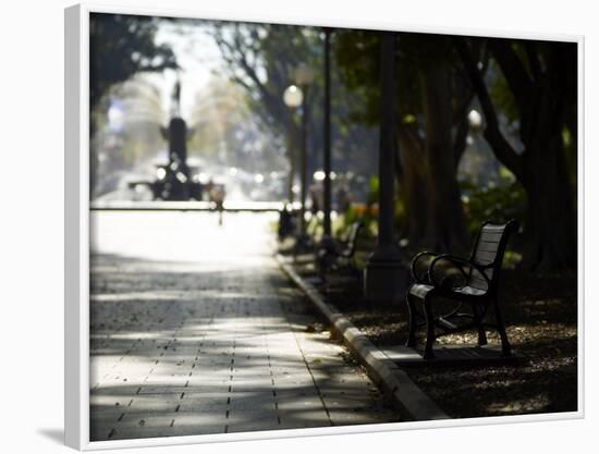 Hyde Park, Sydney, New South Wales, Australia, Pacific-Mark Mawson-Framed Photographic Print