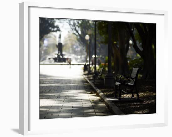 Hyde Park, Sydney, New South Wales, Australia, Pacific-Mark Mawson-Framed Photographic Print