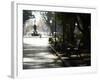 Hyde Park, Sydney, New South Wales, Australia, Pacific-Mark Mawson-Framed Photographic Print