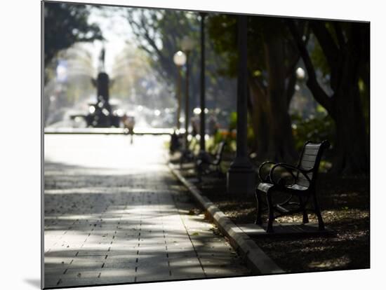 Hyde Park, Sydney, New South Wales, Australia, Pacific-Mark Mawson-Mounted Photographic Print