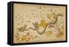 Hydra and Surrounding Constellations, 1825-Science Source-Framed Stretched Canvas