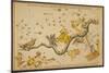 Hydra and Surrounding Constellations, 1825-Science Source-Mounted Giclee Print