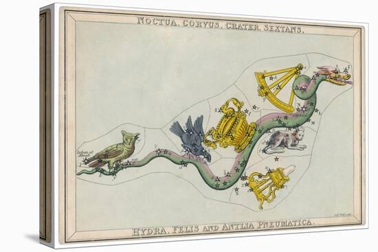 Hydra Constellation Including an Owl a Raven and a Sextant-Sidney Hall-Stretched Canvas