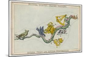 Hydra Constellation Including an Owl a Raven and a Sextant-Sidney Hall-Mounted Art Print
