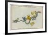 Hydra Constellation Including an Owl a Raven and a Sextant-Sidney Hall-Framed Premium Giclee Print