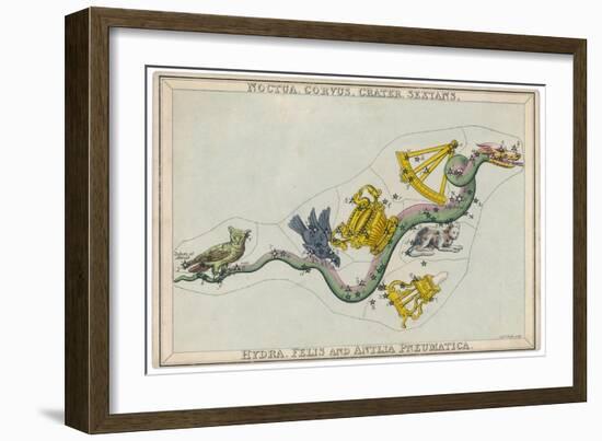 Hydra Constellation Including an Owl a Raven and a Sextant-Sidney Hall-Framed Art Print