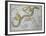 Hydra, from "A Celestial Atlas," Published in 1822-A. Jamieson-Framed Giclee Print