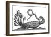 Hydra, Legendary Creature-Science Source-Framed Giclee Print