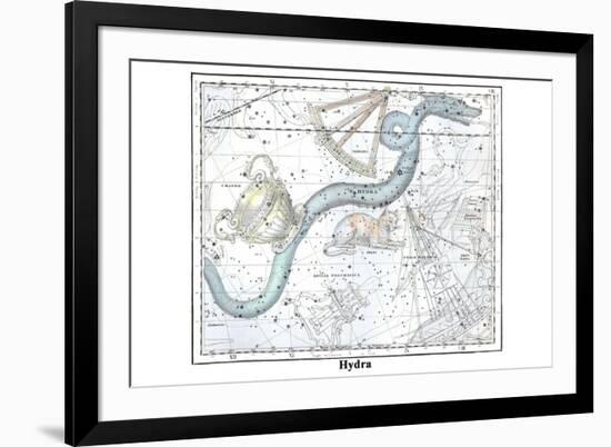 Hydra-Alexander Jamieson-Framed Premium Giclee Print