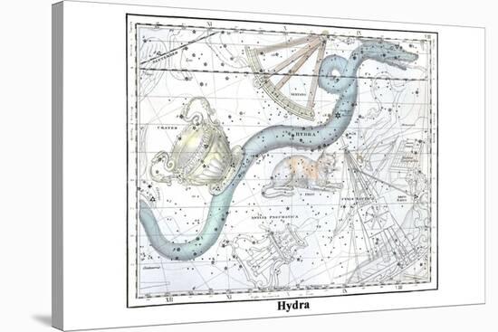 Hydra-Alexander Jamieson-Stretched Canvas