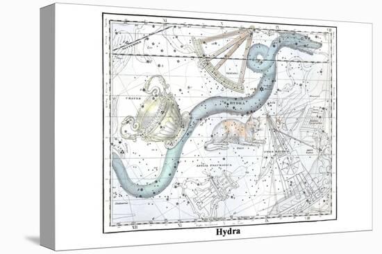 Hydra-Alexander Jamieson-Stretched Canvas