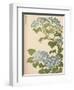 'Hydrangea', 1838-Ikeda Eisen-Framed Giclee Print